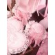 Mademoiselle Pearl Sanrio My Melody Peach Blossom Themed OPs(Reservation/Full Payment Without Shipping)